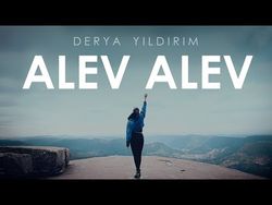 alvvv.youtube